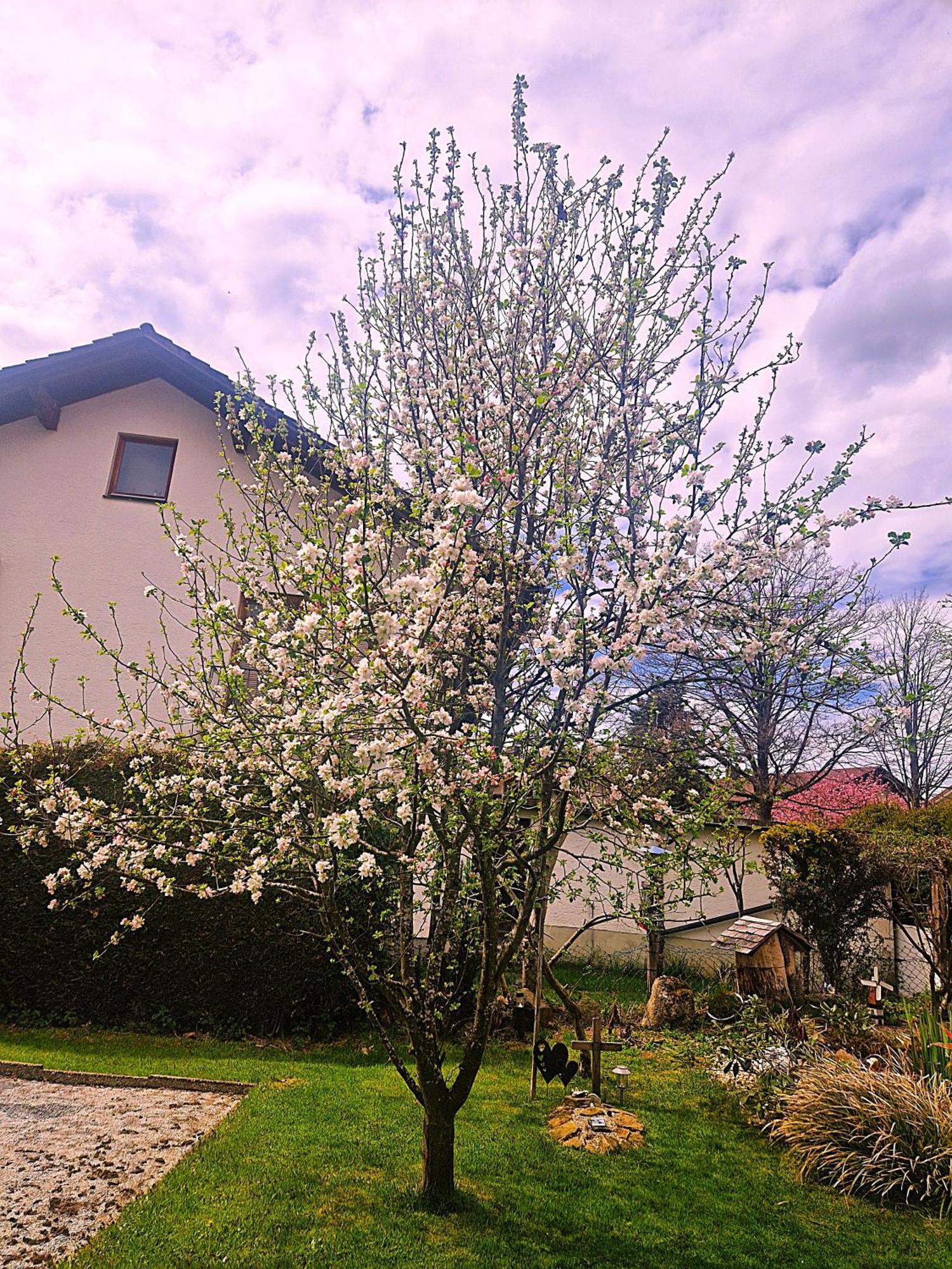 Pension Landhaus Koller - Adults Only Bodenmais Exterior foto